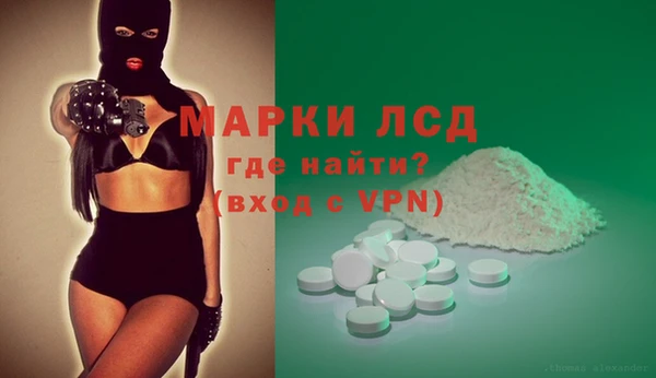 сатива Верхний Тагил