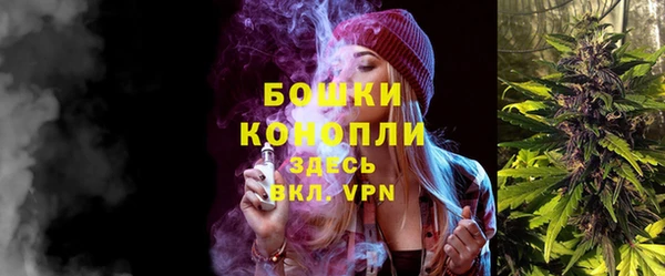 сатива Верхний Тагил