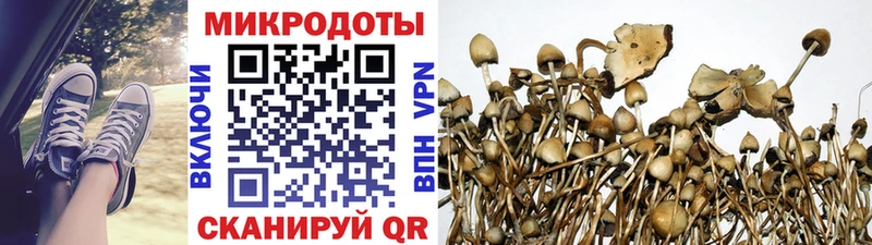 Галлюциногенные грибы ЛСД  Купить  Сясьстрой 